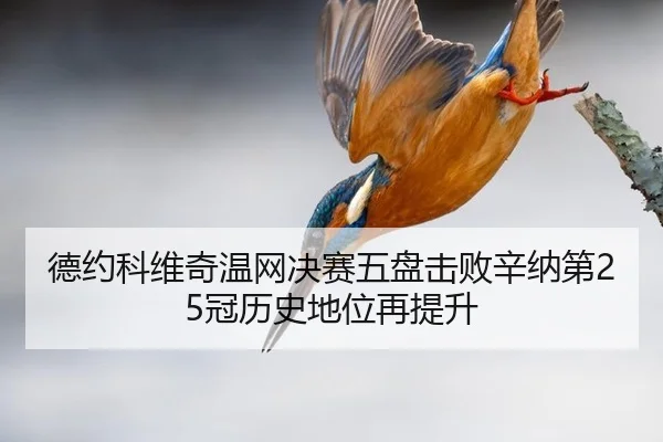 de-yue-ke-wei-qi-wen-wang-jue-sai-wu-pan-ji-bai-xin-na-di-guan-li-shi-di-wei-zai-ti-sheng-3-936.jpg