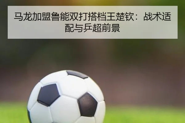ma-long-jia-meng-lu-neng-shuang-da-da-dang-wang-chu-qin-zhan-shu-shi-pei-yu-ping-chao-qian-jing-2-666.jpg